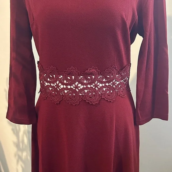 Elegant Burgundy Lace-Trim Dress - Picture 2 of 4